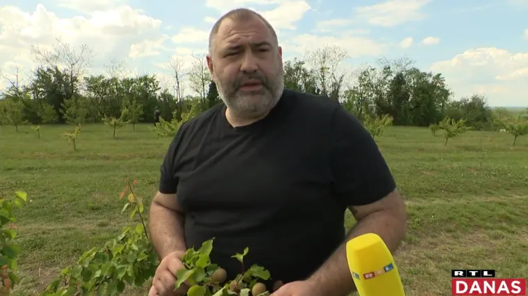 Tražite zanimljiv godišnji odmor? Zaputite se na imanje u Aljmašu gdje sami berete eko voće
