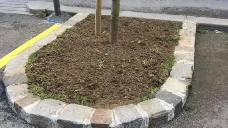 Radnici Zrinjevca obišli vrt u Preradovićevoj koji su zasadili građani. I dogodilo se čudo!