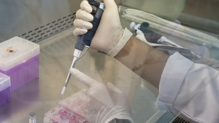 Ključna faza: Američki farmaceutski div krajem srpnja počinje klinička ispitivanja cjepiva na ljudima
