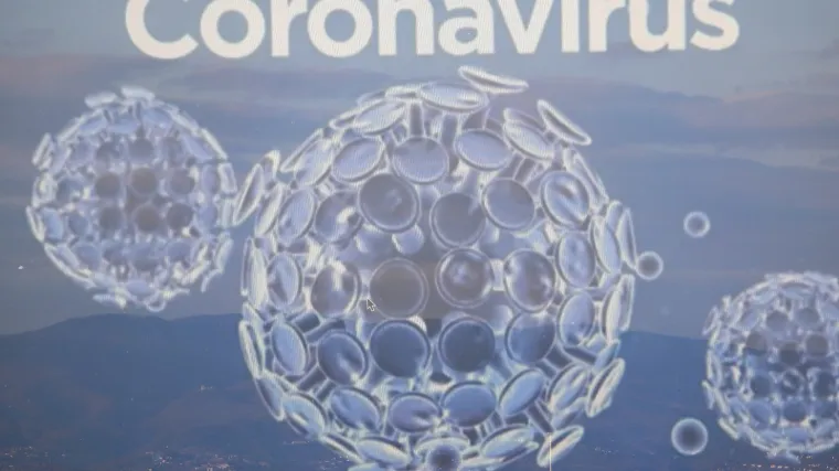 Uspjeh znanstvenika: Otkrili kako virus manipulira stanicama da bi se replicirao