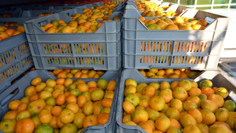Tradicionalni hrvatski proizvodi bit će zaštićeni na kineskom tržištu