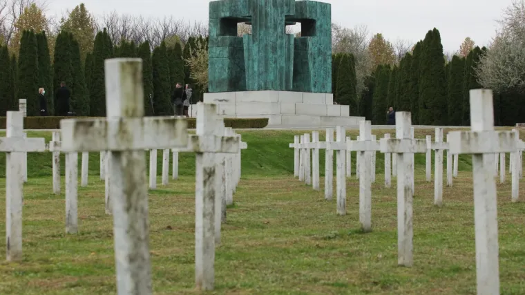 Prije 29 godina pao je 'Grad heroj': 'Vukovarska bitka je poseban fenomen. Da nije bilo rata, grad bi rastao'