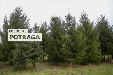 Hrvatske šume bi pošumljavale, mještani bi se bavili stočarstvom. Potraga istražuje zašto su stočari ljuti na državu