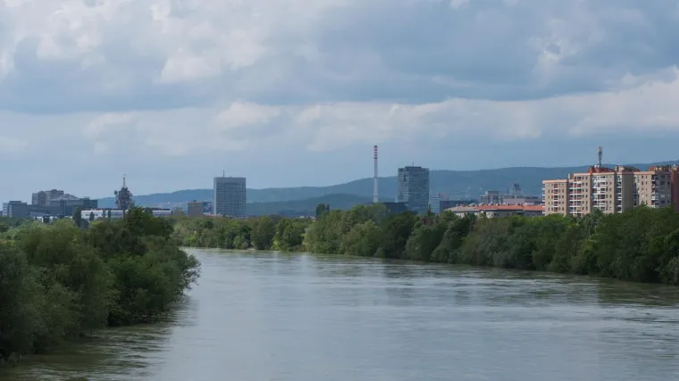 U rijeci Savi uočene meduze: 'Ima ih u još nekim rijekama i jezerima Hrvatske'