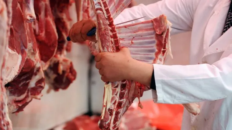 Mladi izbjegavaju zanimanje mesara, ali ne i u ovom hrvatskom mjestu: Dobivaju besplatne udžbenike, 1000 kuna mjesečno...