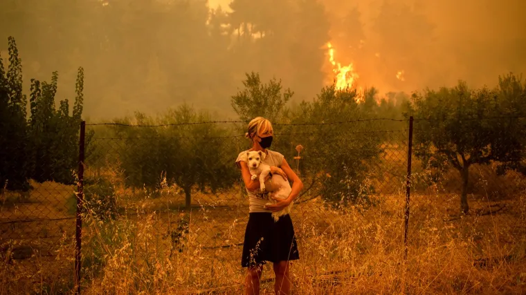 Ekstremne vrućine uništavaju hranu, šume i ljude, a bit će i gore. Uzrok nam je svima dobro poznat