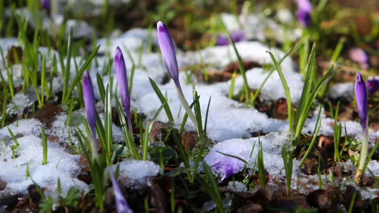 U prvi tjedan ožujka ulazimo s zimskim temperaturama pa stoga tijekom vikenda stižu nove oborine