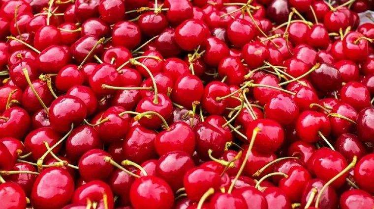 Kako pripremiti višnje za zimnicu?