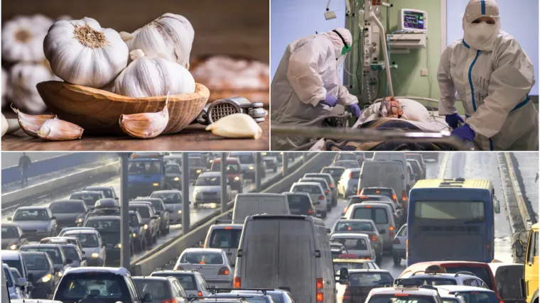 Češnjak i prometne gužve vjesnici su sljedeće smrtonosne pandemije, a stručnjaci upozoravaju: 'Prijetnja je sve veća!'