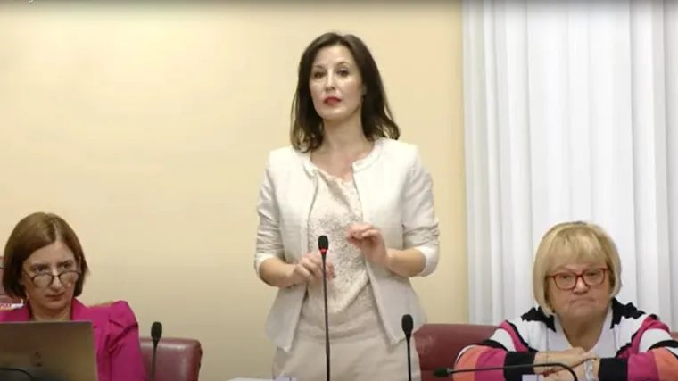 Orešković: 'Uzimate li plijen iz afera?' Plenković: 'Inače ne govorite baš prekopametno.' Nastavio je vrijeđati