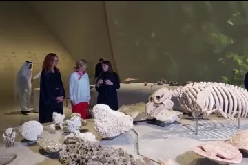FOTO/VIDEO Bivša predsjednica između utakmica posjetila Nacionalni muzej Katra