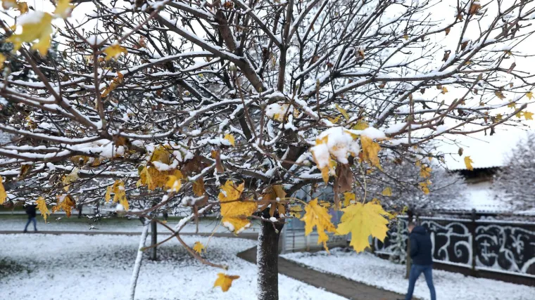 Dok je Hrvatska okovana ledom, u jednom dijelu zemlje temperatura bi mogla letjeti i do nestvarnih 20 stupnjeva