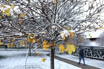 Dok je Hrvatska okovana ledom, u jednom dijelu zemlje temperatura bi mogla letjeti i do nestvarnih 20 stupnjeva