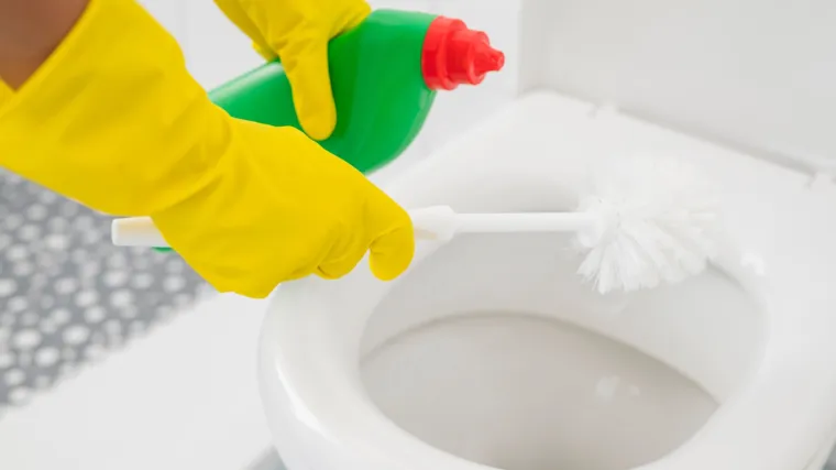 Stručnjaci otkrili koliko često treba mijenjati četku za WC školjku