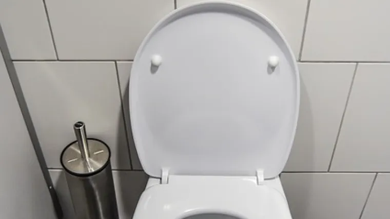 Kako oprati WC dasku? Koja sredstva koristiti za pranje WC daske?