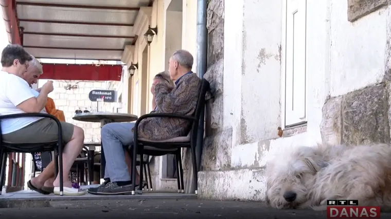 Hachiko, ali iz Dubrovnika? Nitko mu ne zna ime, a niti tko mu je vlasnik. Ovo je priča o malom čupavom psu