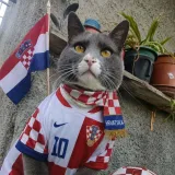 Nju&scaron;e pobjedu: Ljubimci na&scaron;ih čitateljica jedva čekaju utakmicu