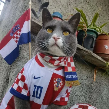Nju&scaron;e pobjedu: Ljubimci na&scaron;ih čitateljica jedva čekaju utakmicu