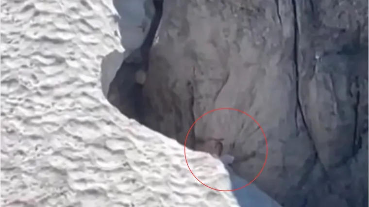Akcija u susjedstvu: Policija spašavala planinara, pogledajte gdje je zaglavio