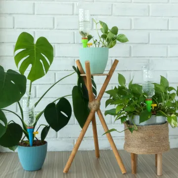 Spremate se za godi&scaron;nji? Kako osigurati da va&scaron;e sobne biljke prežive bez vas