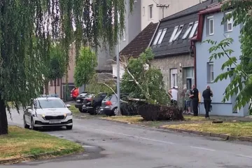 Olujno nevrijeme poharalo Slavoniju: Srušena stabla, oštećeni krovovi i automobili