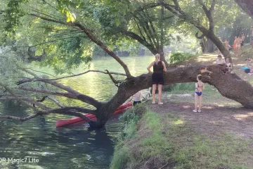 Opasnost u prirodnom raju &ndash; na 'Radočajki' na Mrežnici veliko stablo palo među kupače, koji su uzalud upozoravali da bi se to moglo dogoditi