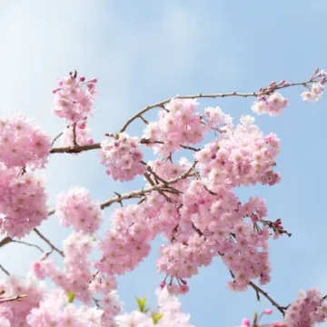 Horoskop za četvrtak: Bikovi pucaju od nervoze zbog &scaron;efova, djevice imaju tro&scaron;kove