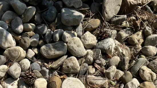 Oko ovog zadatka namučili su se i oni sa sokolovim očima: Možete li ih vi nadmašiti?