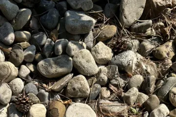 Oko ovog zadatka namučili su se i oni sa sokolovim očima: Možete li ih vi nadmašiti?