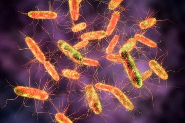 Opasna bakterija otkrivena u neočekivanom proizvodu: Epidemija divlja, deseci djece u bolnicama