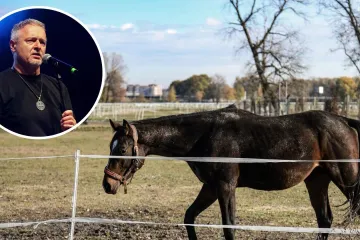 Što će biti s konjima tijekom Thompsonovog koncerta? Farma ponudila rješenje, reagirali i organizatori