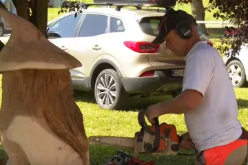 Skup, ali i jako opasan hobij: Kipari s motornom pilom otkrili što se najviše prodaje u Hrvatskoj