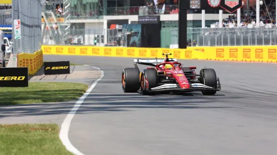 Hamilton nehotice u utrci usmrtio životinju: 'Jako sam tužan zbog toga'