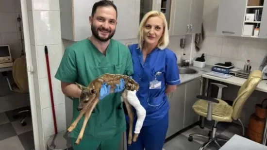 Ortopedu Opće bolnice iz Pljevalja donijeli stradalo lane, odmah je pristao pomoći