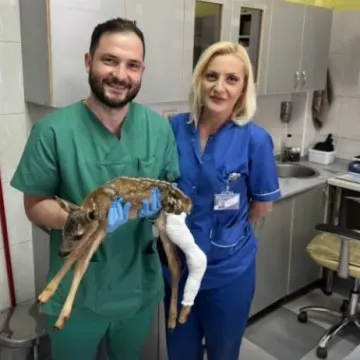 Ortopedu Opće bolnice iz Pljevalja donijeli stradalo lane, odmah je pristao pomoći