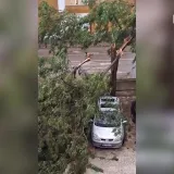 Žestoko nevrijeme poharalo Rovinj i Pulu: Padala stabla, oštećeni auti...