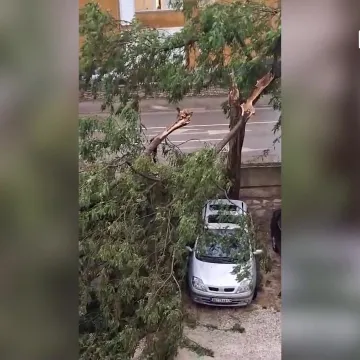 Žestoko nevrijeme poharalo Rovinj i Pulu: Padala stabla, oštećeni auti...