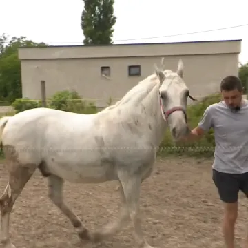 Imamo čudnovatu priču sa sela koja nije crnjak: Mladi poljoprivrednik šokirao kontroverznom izjavom