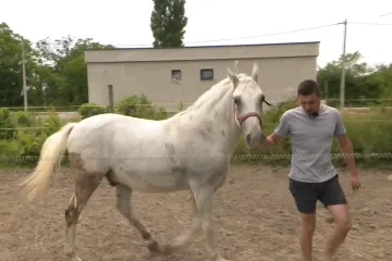 Imamo čudnovatu priču sa sela koja nije crnjak: Mladi poljoprivrednik šokirao kontroverznom izjavom