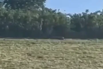 Policija i helikopter traže opasnog predatora, pojavila se snimka: 'Ne približavajte se'