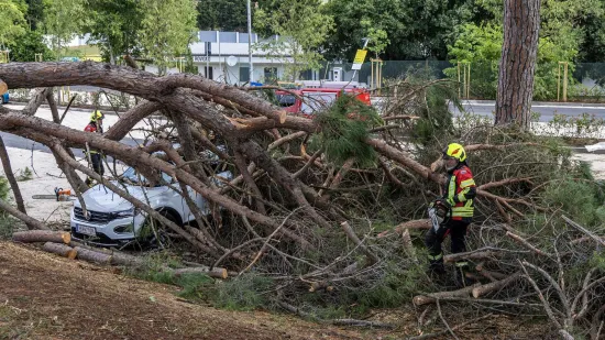 Snažno nevrijeme poharalo Rovinj: 'U službi sam 33 godine, ali ovakvo nešto ne pamtim'