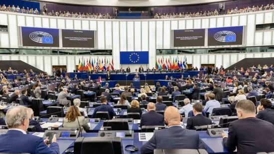 Hrvati napravili šou u Europarlamentu, opet u fokusu jedan ministar: 'Ne govorite napamet!'