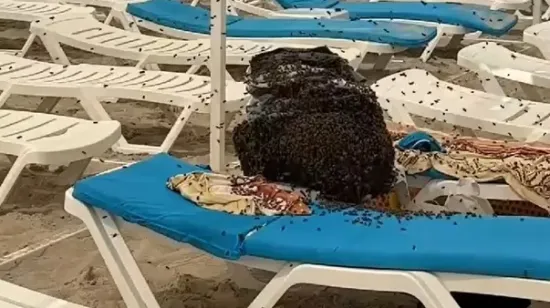 Obitelj zadesila bizarna neugodnost na plaži, situacija i druge kupače nagnala na hitan razlaz