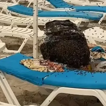 Obitelj zadesila bizarna neugodnost na plaži, situacija i druge kupače nagnala na hitan razlaz