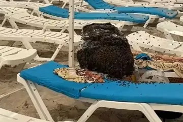 Obitelj zadesila bizarna neugodnost na plaži, situacija i druge kupače nagnala na hitan razlaz