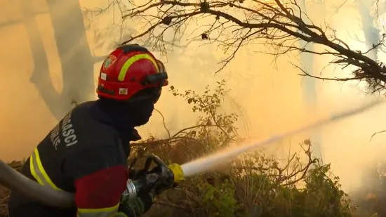 Zapošljava se 1000 sezonaca vatrogasaca: 'I ulažemo 55 mil. eura'