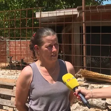 Huanita u suzama: 'Jučer je to bilo janje, danas ovca, sutra će biti moje dijete'
