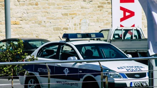 Policajci uhvaćeni u 'akciji': Snimka iz službenog vozila postala viralna