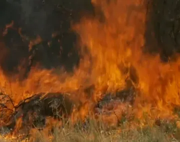 Od Omiša do Brela, vatrogasci i dalje na terenu: Bura prijeti, noć bi mogla biti neugodna