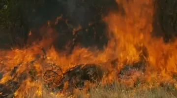 Od Omiša do Brela, vatrogasci i dalje na terenu: Bura prijeti, noć bi mogla biti neugodna